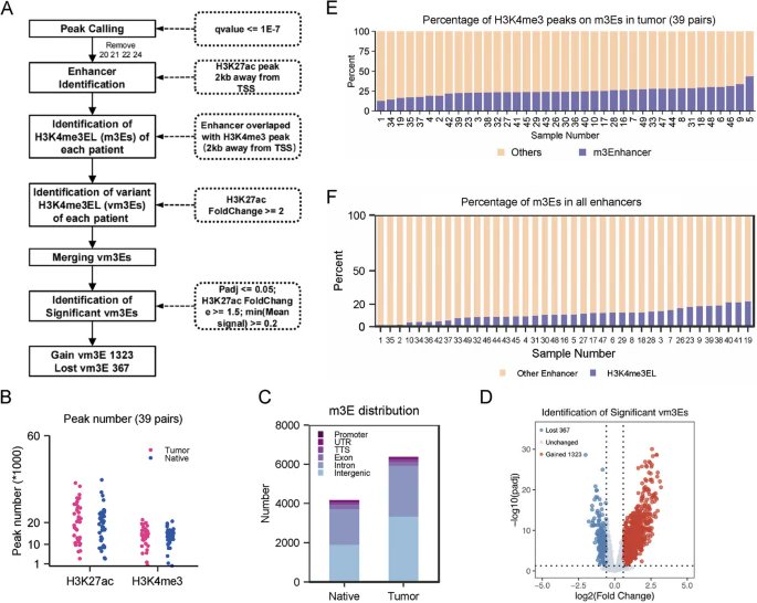 Genome Biology (@genomebiology) on Twitter photo New research from Min Wu, Yong Xiao, Ming-Kai Chen & co. <a href="/WHU_1893/">Wuhan University</a> illustrating the genome-wide landscape & regulatory mechanisms of m3Es in colorectal cancer, and revealing potential novel strategies for #cancertreatment
bit.ly/47P8259 New research from Min Wu, Yong Xiao, Ming-Kai Chen & co. <a href="/WHU_1893/">Wuhan University</a> illustrating the genome-wide landscape & regulatory mechanisms of m3Es in colorectal cancer, and revealing potential novel strategies for #cancertreatment
bit.ly/47P8259
