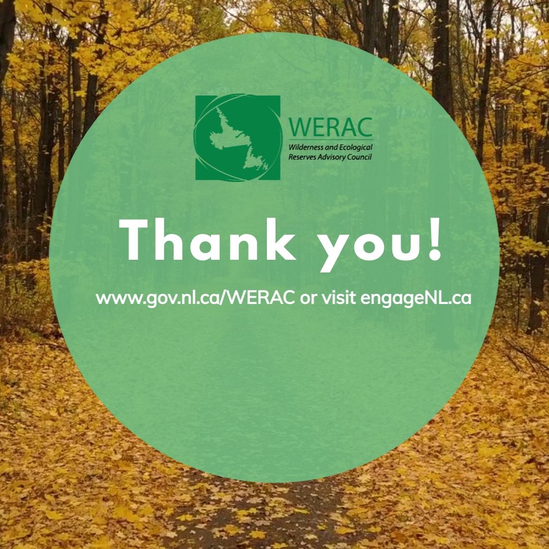 🙏 Thank you to everyone who joined our public engagement sessions last week! Your input is invaluable. Missed it? No worries! You can still have your say online at engagenl.ca. Every comment counts! 🌐 #WERAC #EngagementMatters <a href="/ECC_GovNL/">Environment and Climate Change</a>