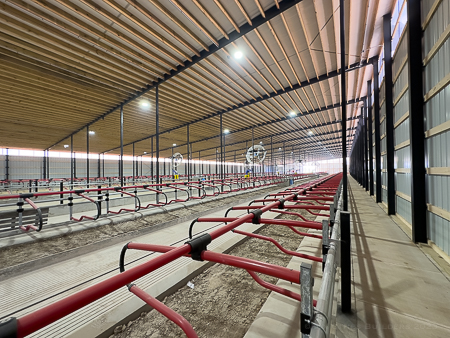 From our shop to the jobsite - the structural steel in Heeg Brothers freestall barn is looking great!
This new construction project features structural steel for a 129x500 freestall barn.

#structuralsteel #performancefab #welderfabricators