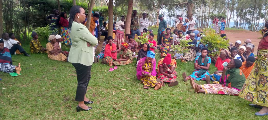 Musha Sector tweet media