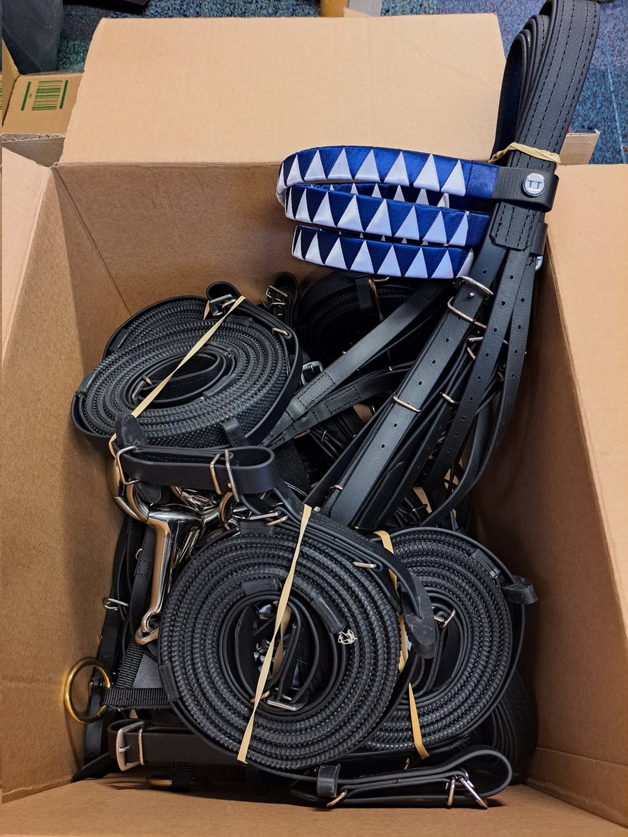 talkintack's tweet image. Exercise Bridles ready for Dubai 💪👍