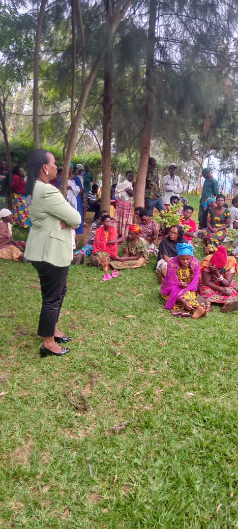 Musha Sector tweet media