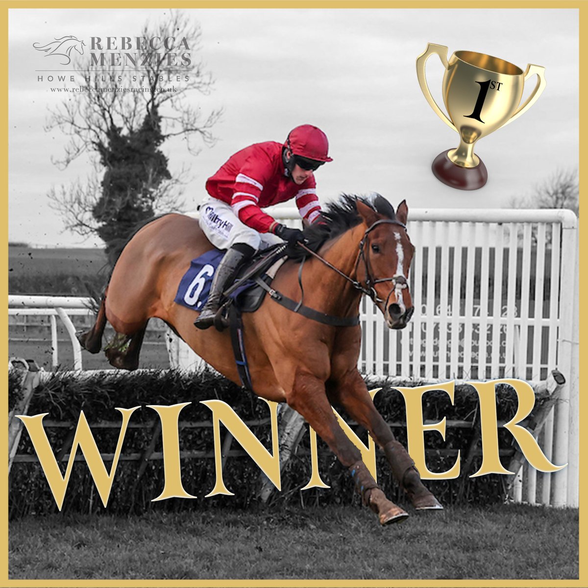 🏆🏆🏆WINNER 🏆🏆🏆
Harper Valley wins at @SedgefieldRace
Great ride by Ross Chapman
Congratulations to owner John Wade🍾🍾🍾
@BluegrassFeeds
#teammenzies #racehorsewinner #racehorse #horse #winner #fedonbluegrass #bluegrasshorsefeeds #poweredbyBluegrass