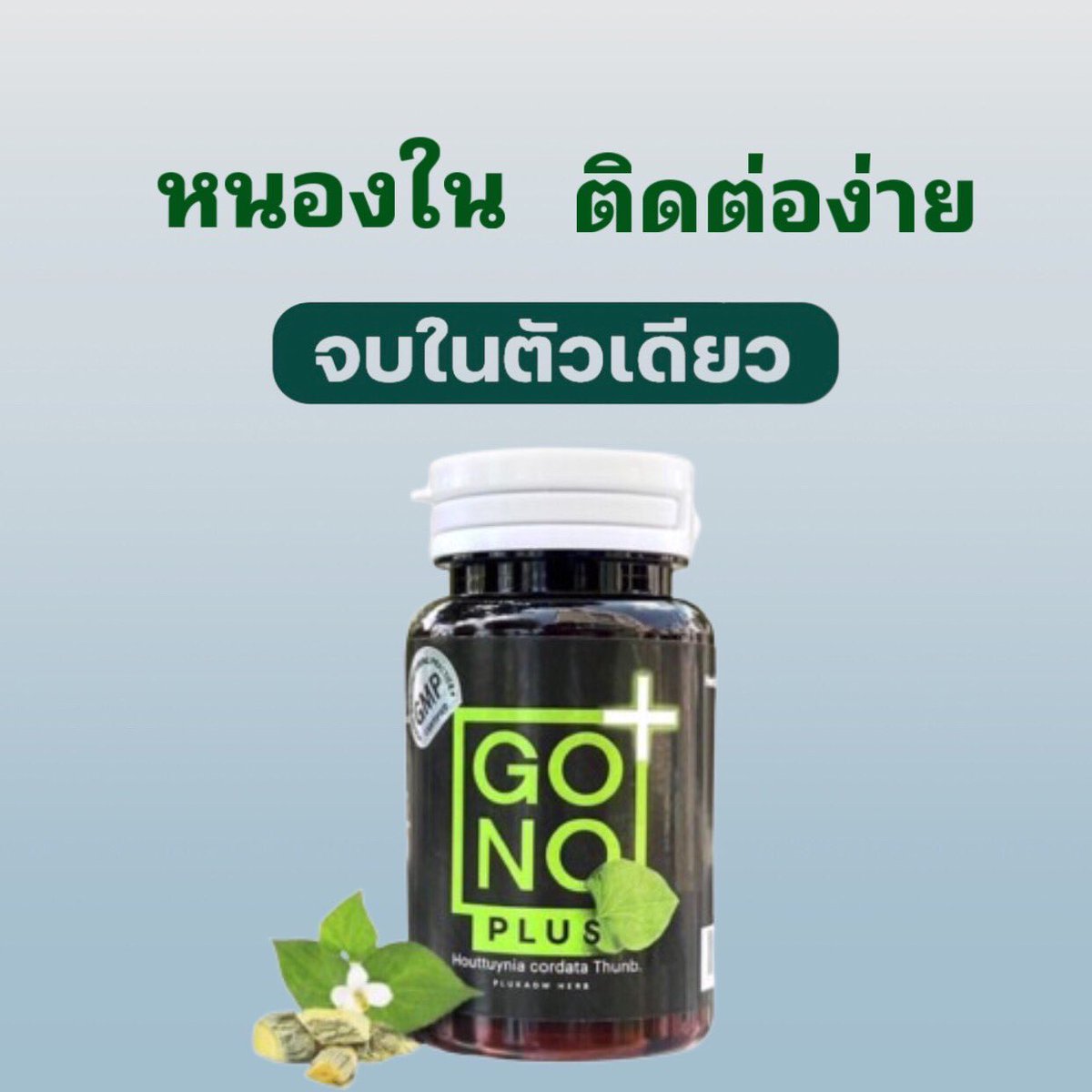 GonoPlus85938's tweet photo. สำหรับผู้ชาย-ผู้หญิงทั้งหลายคงจะรู้ได้ไม่ยากว่าโดนเข้ากับตัวสะแล้ว!!แรกๆมักมีอาการฉี่ขัด ปวดแสบสัก���ะยะเริ่มมีหนองไหล มันทรมานสุดๆไปเลยตัวช่วยล่าสุด GON0
P PLUSหนองในแท้-เทียม หายขาดเราช่วยได้

📮จัดส่งฟรี มีบริการเก็บเงินปลายทาง
รีบทักรับโปร ✅นี้มีจำนวนจำกัด https://t.co/sWh4aN4vju