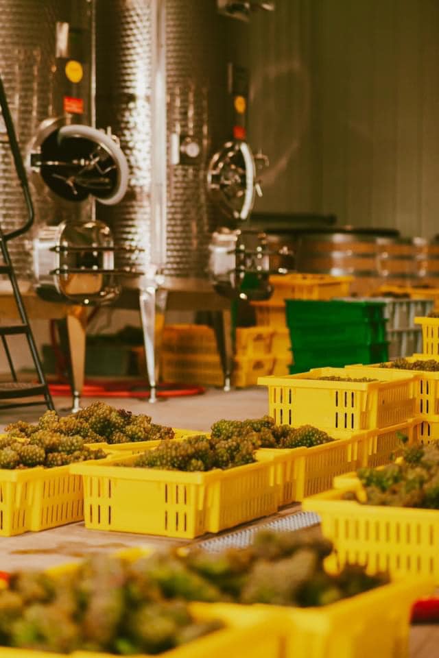 EdKellyLaw's tweet photo. I assisted Pieri Vineyard with the acquisition of a Limited Winery License from the PLCB. I also participated in the acquisition of the 25 acre parcel in Coopersburg, PA on which the vineyard sits. #LiquorLicense #LiquorLawyer #CRE #CommercialRealEstate #CRELawyer https://t.co/4y6Tuc2SJv