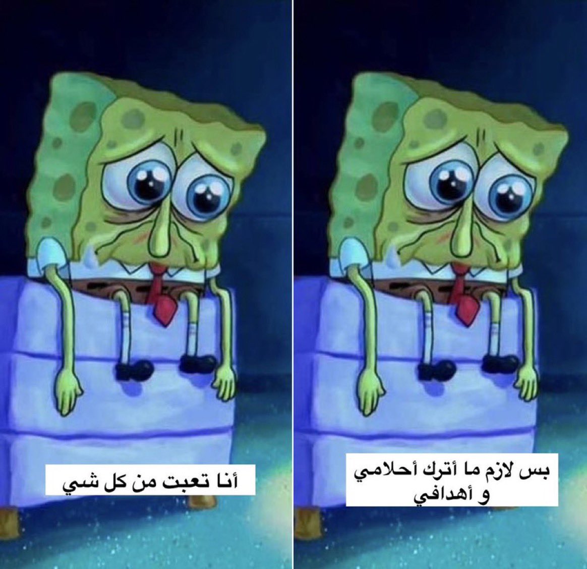 iDrHamza's tweet photo. يحدث كل يوم https://t.co/HBfq7PPlSt