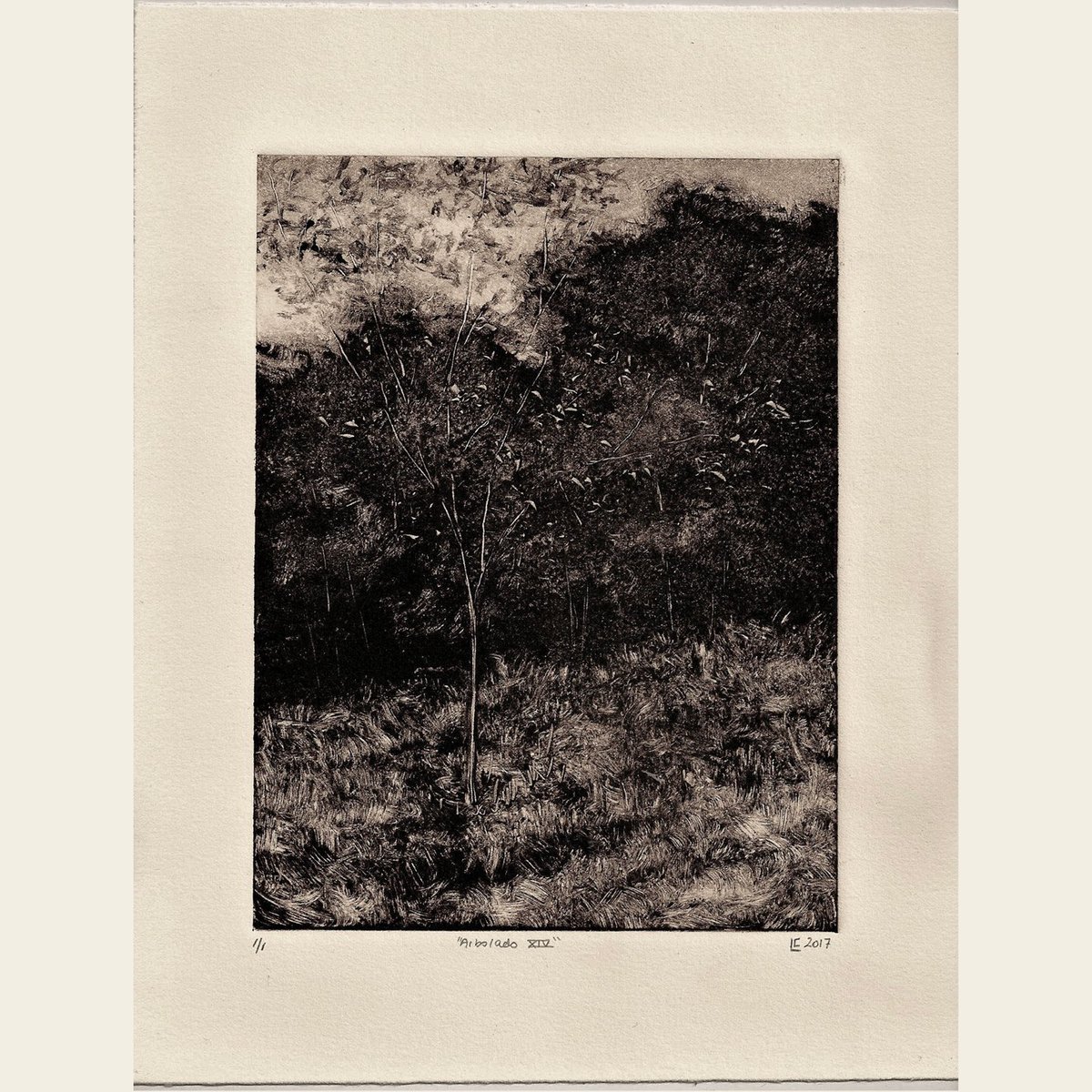 LuisColanArt's tweet photo. I have been included in the second edition of Unique Impressions: Salmagundi Monotype Exhibit at @salmagundiclub Library. Exhibition runs from Nov. 29 - Jan. 7

#uniqueimpressions #monotype #artexhibition #galleryshow #artshow #nycgallery #printmaking #luiscolanart #monotypeprint https://t.co/8RHEor3oQo