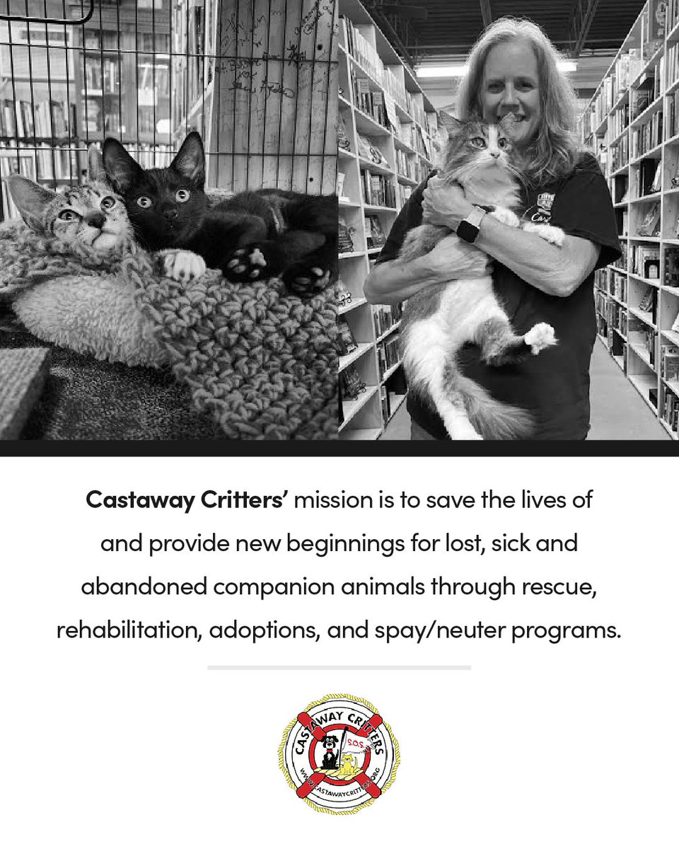 TriadStrategies's tweet photo. Everyone deserves a second chance at life. On #GivingTuesday we can help animals find their #fureverhome. Donations to animal rescues like #CastawayCritters &amp; #HomewardBoundAnimalRescue mean a better life for our furry pals. 

https://t.co/IStRc24q5Y 
https://t.co/j42NdpzStm https://t.co/3thix7TSqX