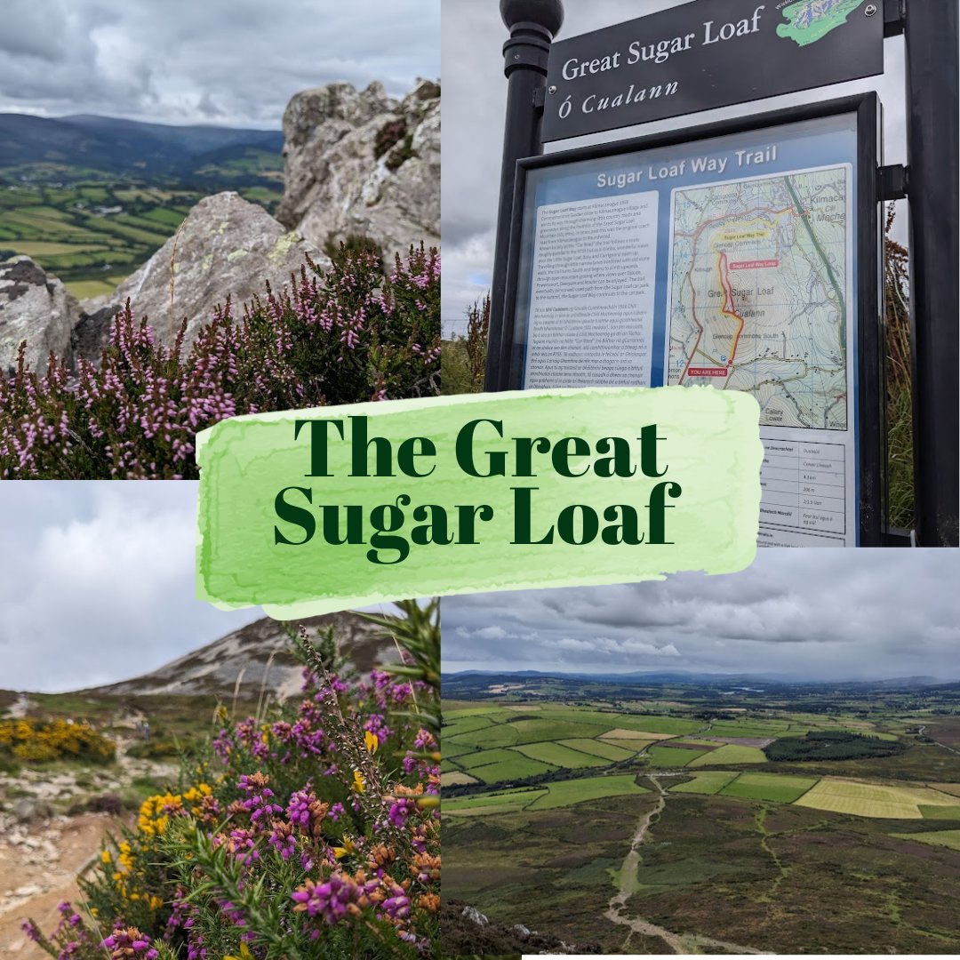 Ready for a breathtaking #adventure in Wicklow? The Great Sugar Loaf, standing tall at 501 metres, awaits 🏞️Not an avid hiker?No worries! There are #trails for every level – a short 1-hour route or a more extensive 2.5-hour #journey. #WicklowWonders #HikingAdventure #DriversGuide