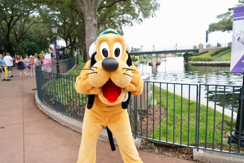 (Photos, Video) Pluto Meets Guests in Holiday Ear Muffs and Collar at EPCOT International Festival of the Holidays: buff.ly/3sIig8F #pluto #epcot #epcotholidays