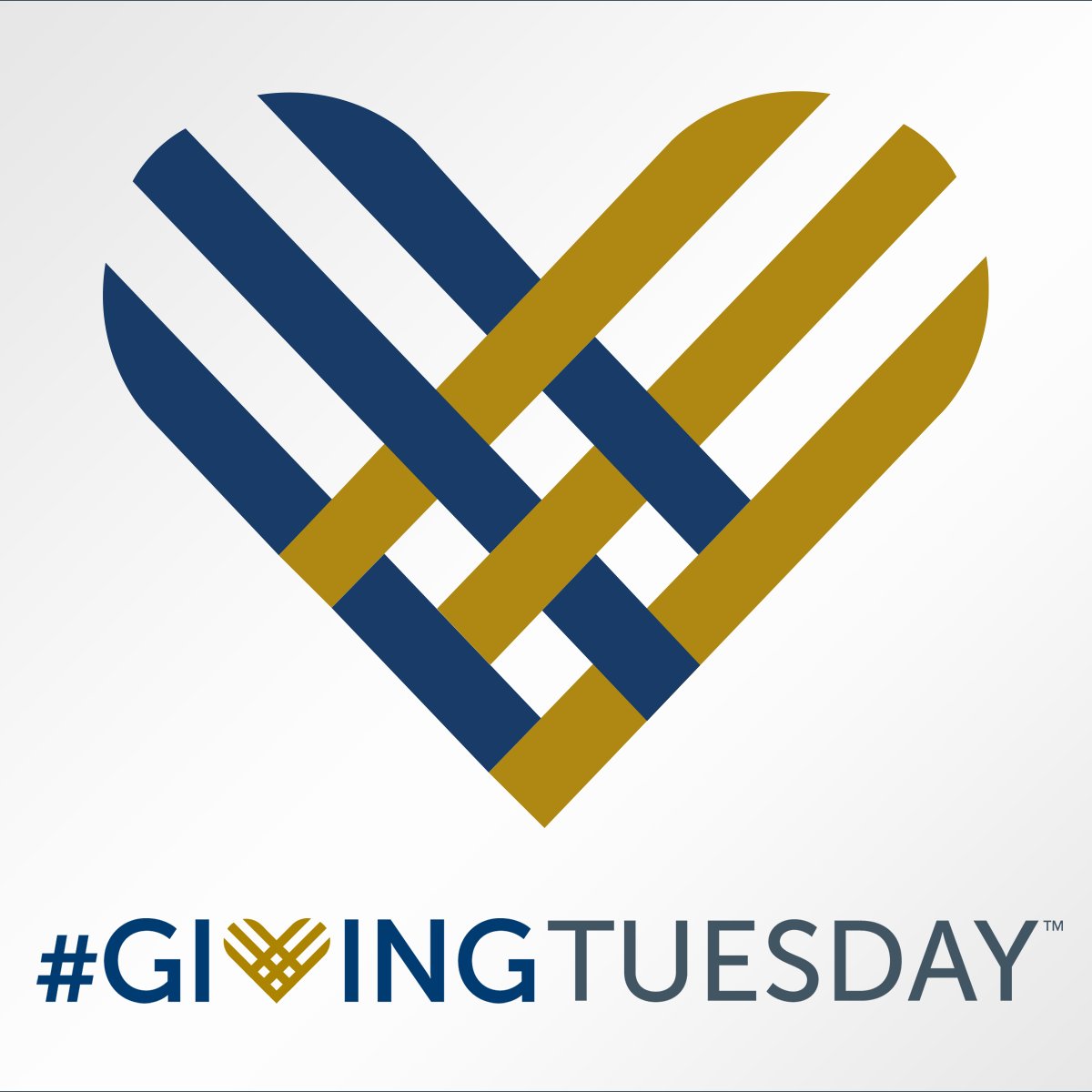 PRECISIONvalue's tweet image. At Precision, giving is a vital part of our DNA. We believe that everyone has something to give—and every act of kindness counts. This #GivingTuesday, our employees are deepening their generosity, giving their time, talent, and money to people and organizations around the world.