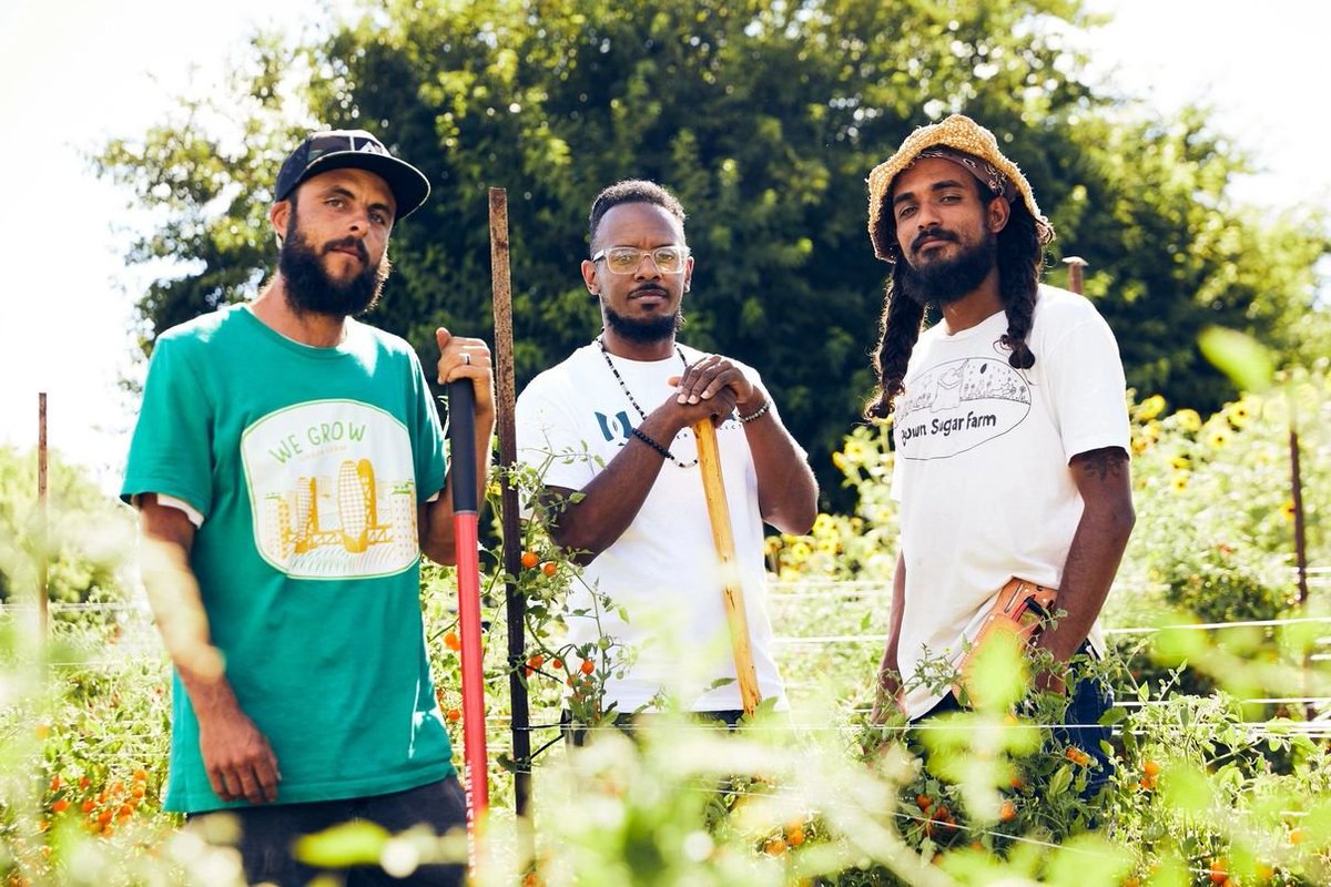 ujamaafarmercollective.com