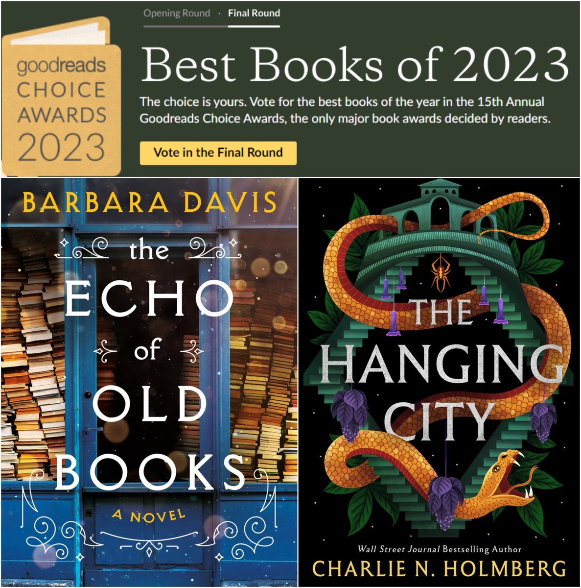 We’re excited to announce that @bdavisauthor’s THE ECHO OF OLD BOOKS and @CNHolmberg’s THE HANGING CITY have made it to the final round of the #GoodreadsChoice Awards 2023! There’s only five days left, so make sure to send in your votes. @AmazonPub