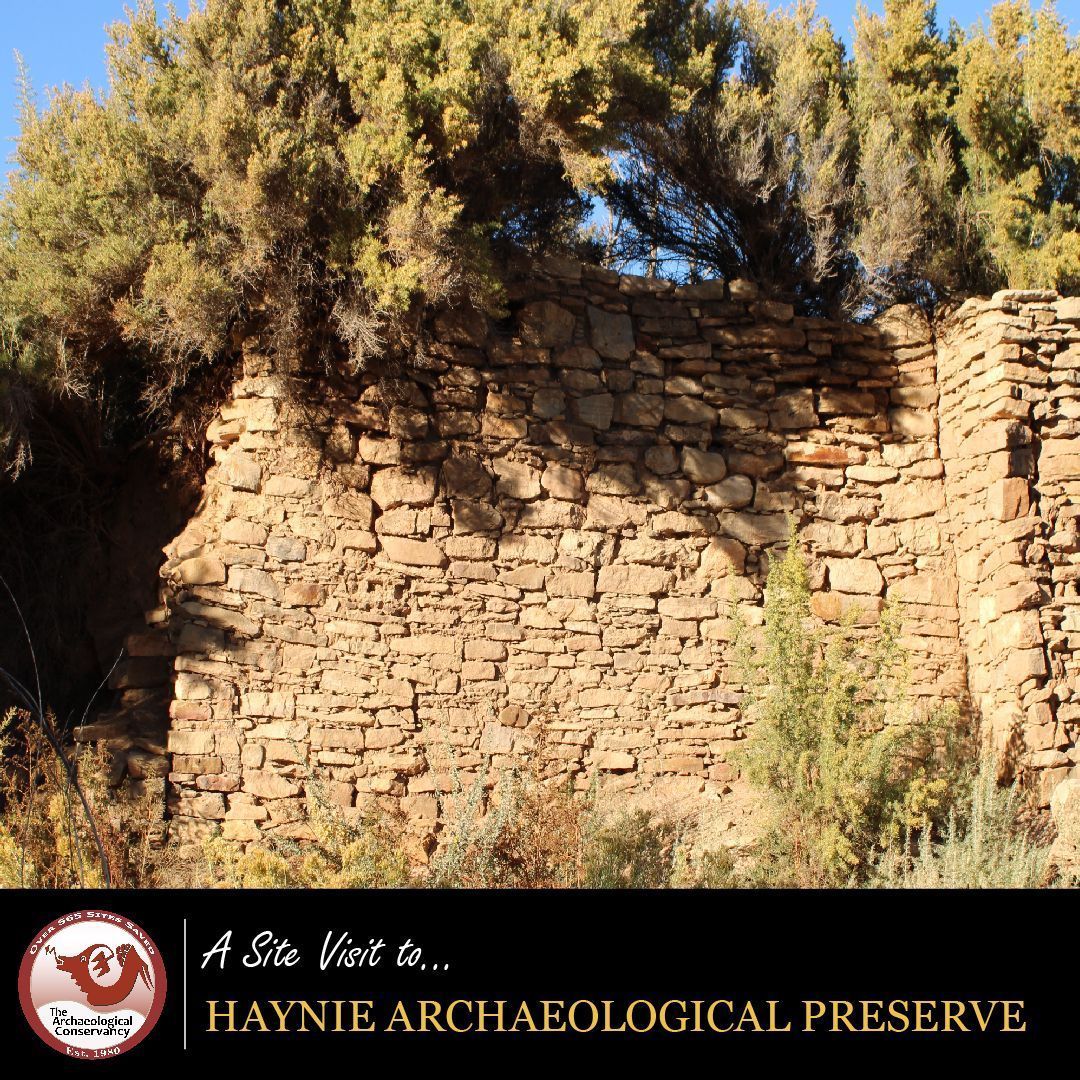 The Archaeological Conservancy tweet media