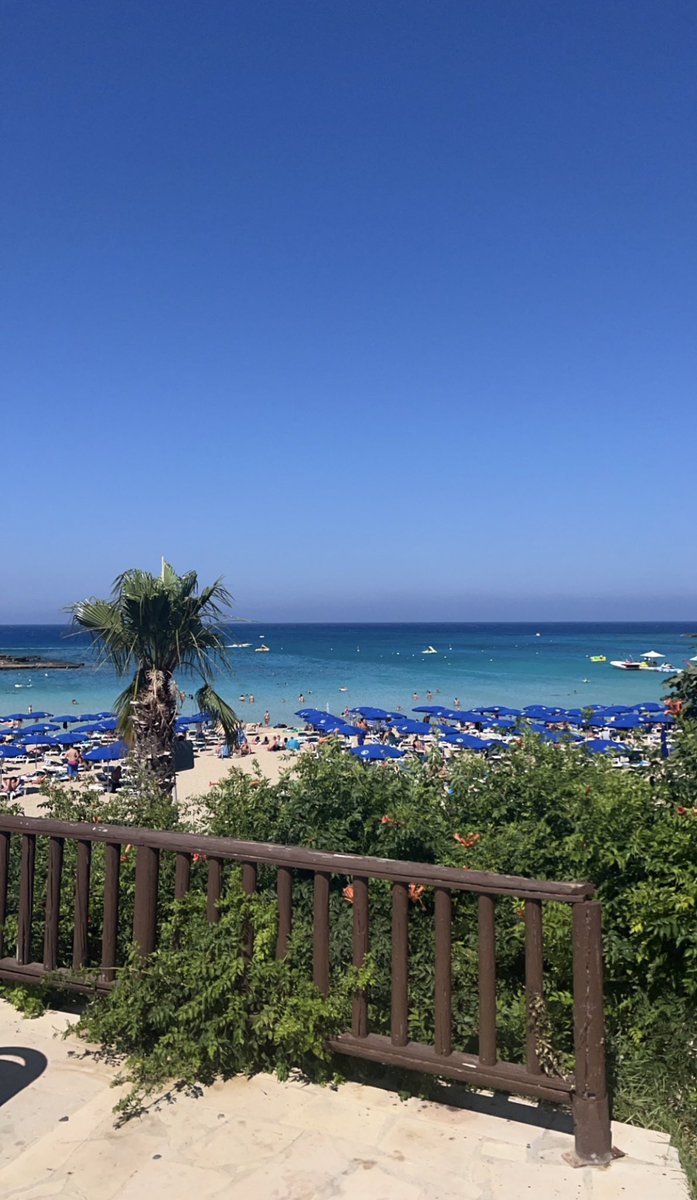 sf2lavish's tweet photo. some of my favourite pics from different holidays https://t.co/3jhu8rRuFO