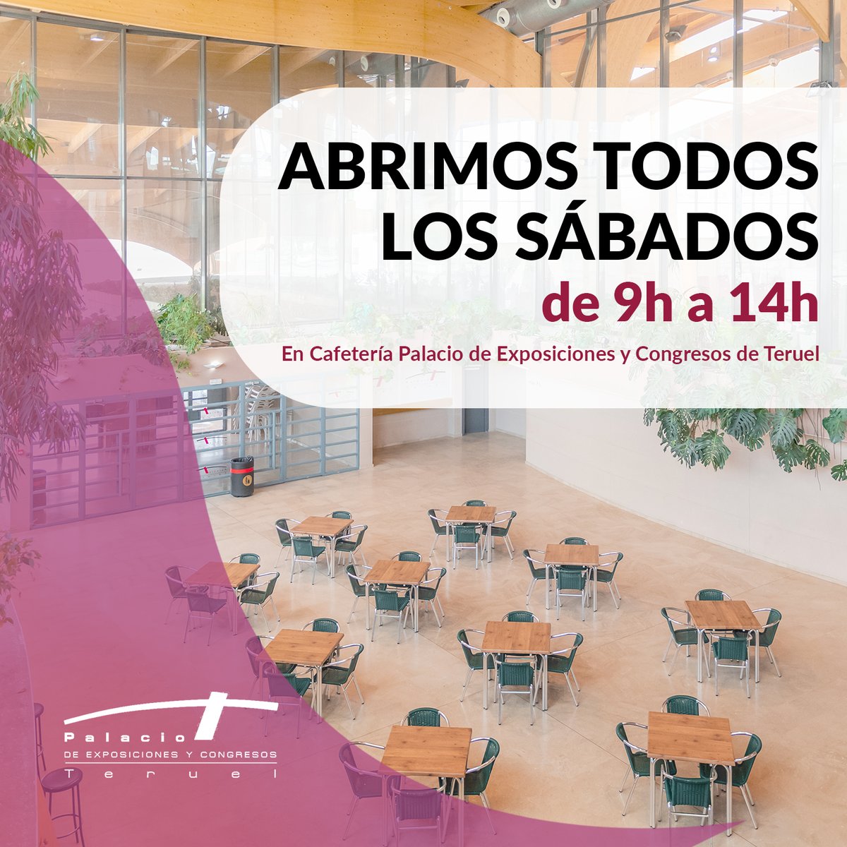 ¡Tus mañanas de sábado en Cafetería del Palacio de Exposiciones y Congresos de Teruel! 

☕Abrimos todos los sábados de 9h a 14h para la ciudad deportiva, pabellón Los Planos... para dar servicio en eventos deportivos del entorno.

¡Te esperamos para compartir buenos momentos🍻!