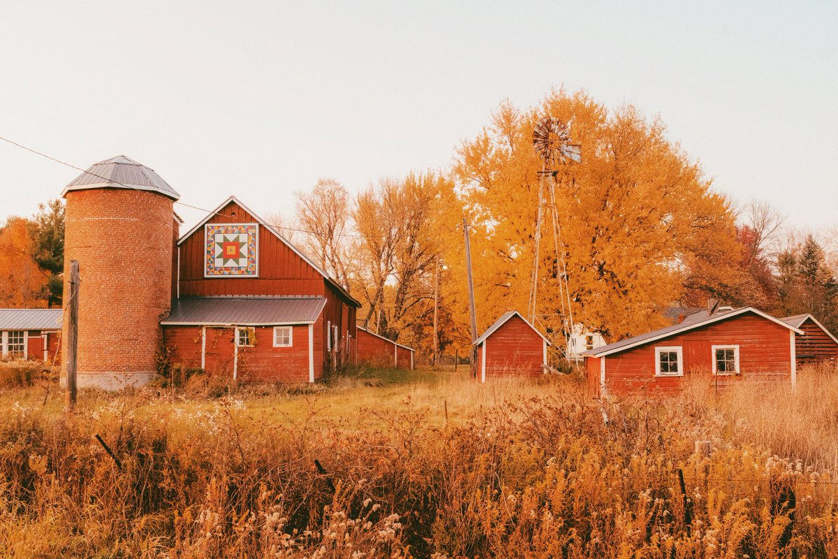 Kelsey Smith 💛🎞️ tweet media