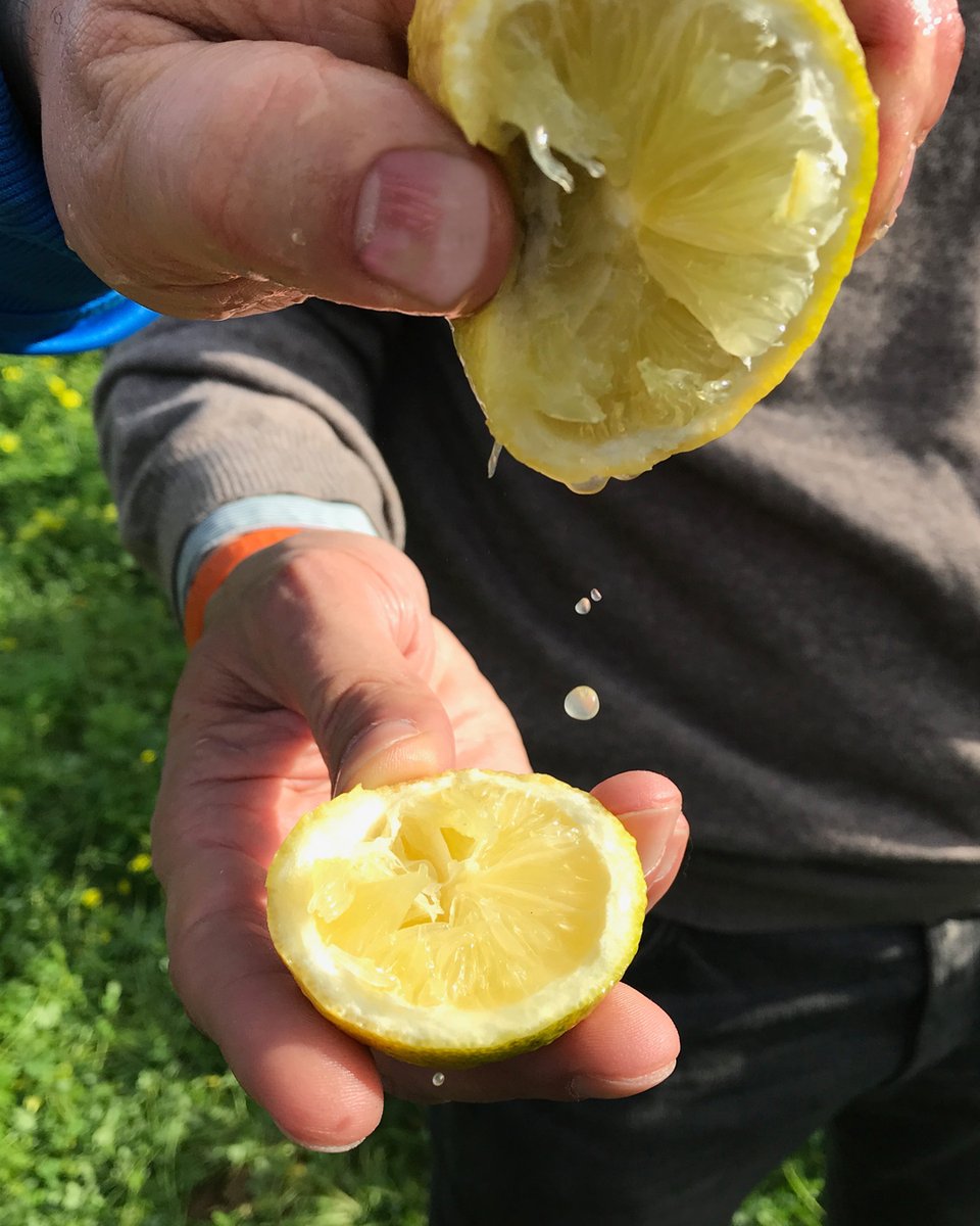 Folkington's tweet media