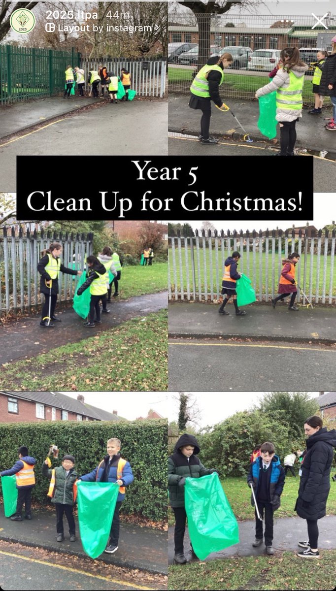 Friends of Lime Tree tweet media