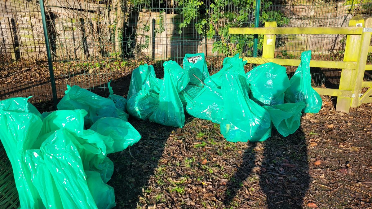 Friends of Lime Tree tweet media