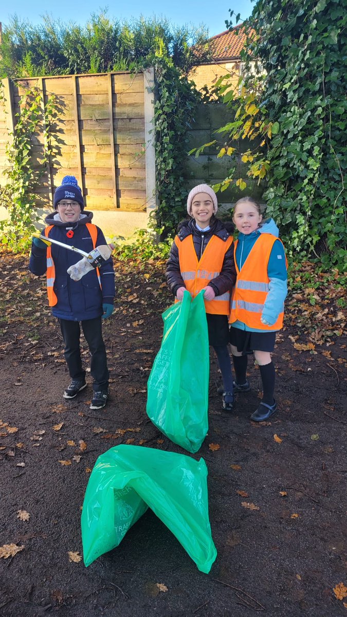 Friends of Lime Tree tweet media