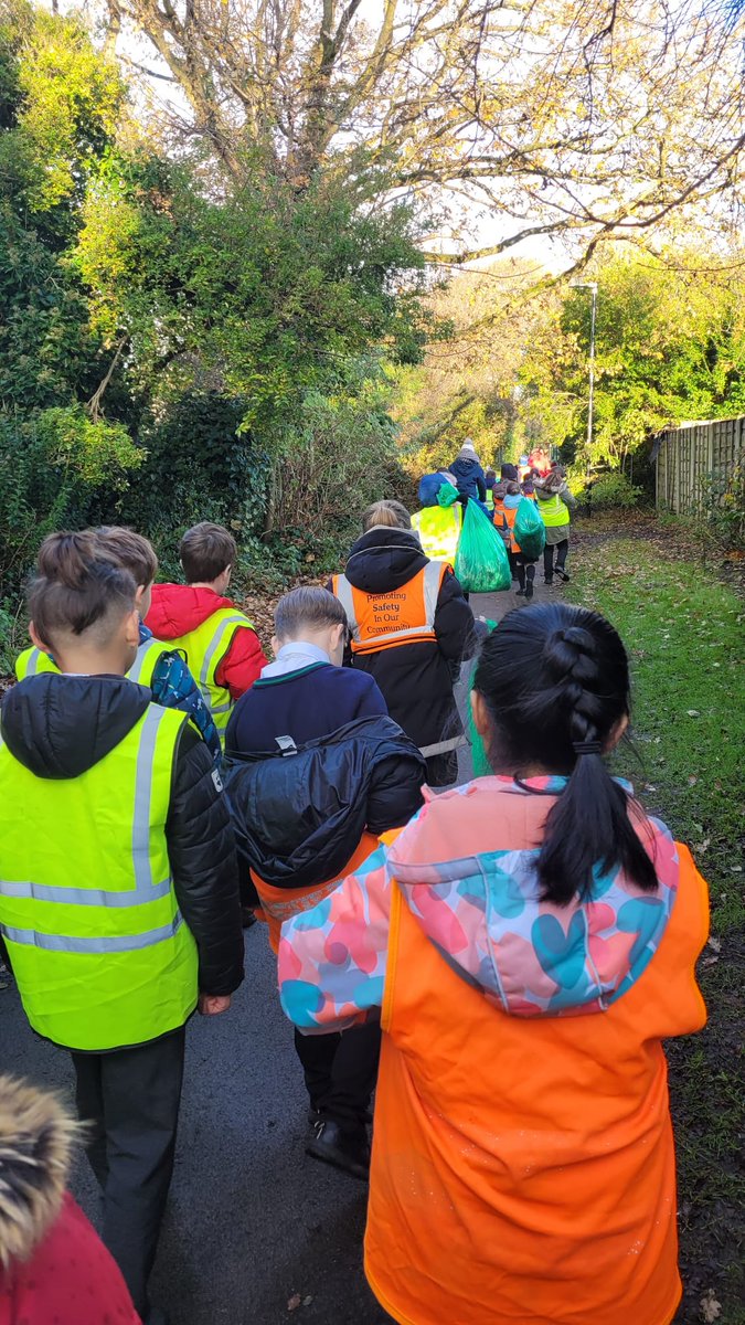 Friends of Lime Tree tweet media