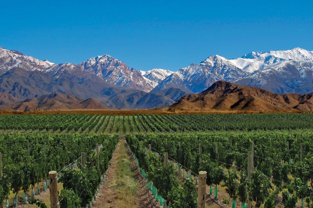 Cada botella cuenta la historia de esta majestuosa cordillera, de sus alturas y secretos que se reflejan en cada sorbo. 🏔️🍇

#FincaElOrigen #MountainCharacter #Mendoza