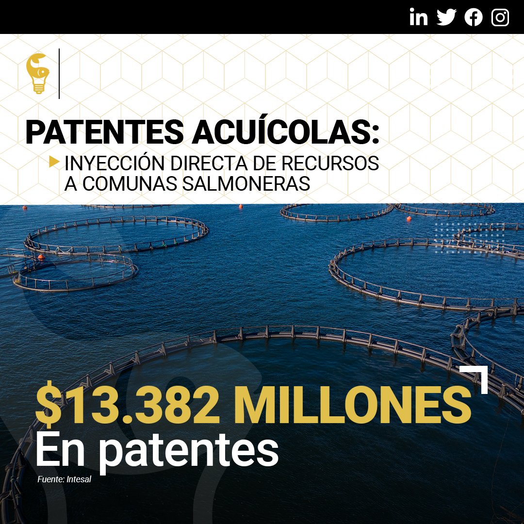 ¿Sabías que la salmonicultura inyecta importantes recursos a las comunas donde opera? Según datos de SalmonChile, en 2022 sus socios pagaron $13.382 millones en patentes acuícolas y comerciales, además de pagos a proveedores por $1,8 billones. Conoce más: abc-salmonicultura.cl