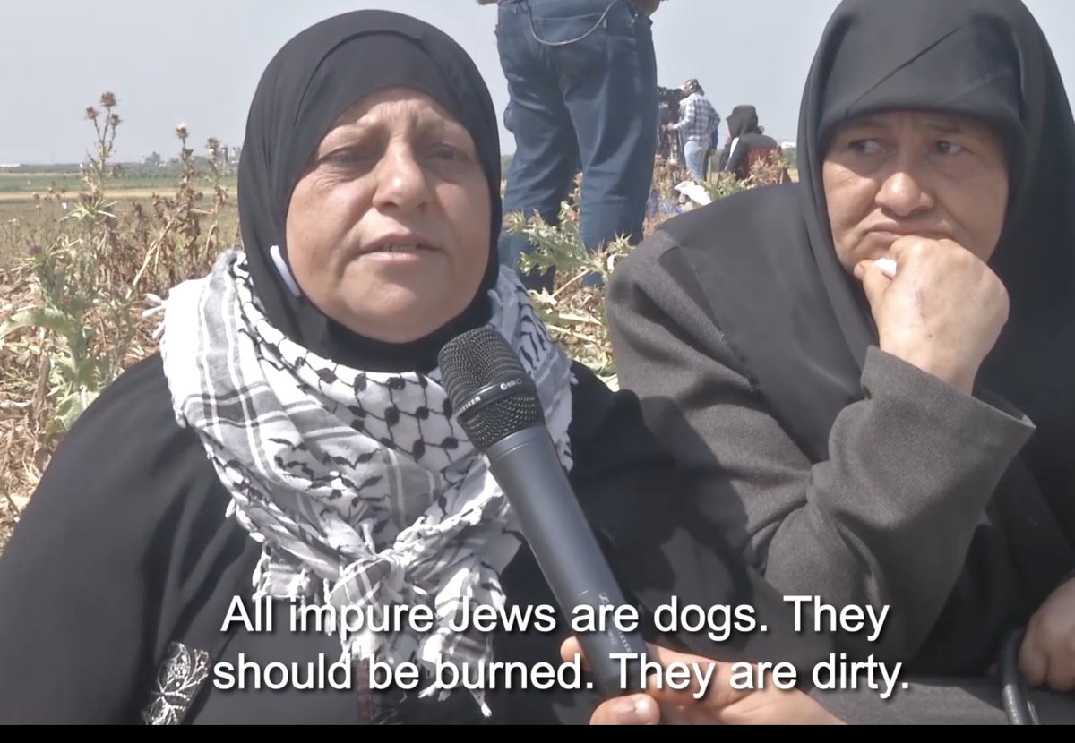 Liza Rosen tweet media