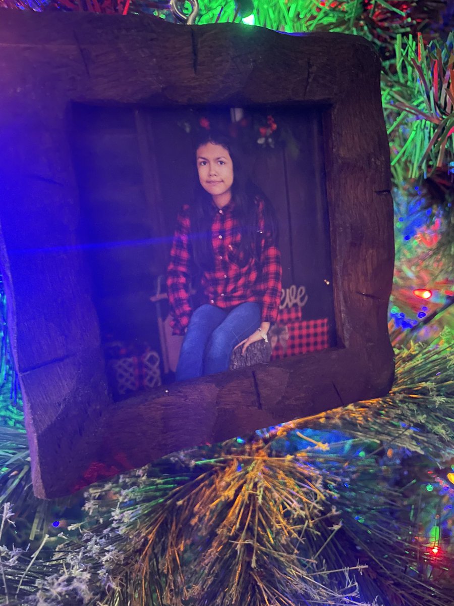 PhotoEnchanting's tweet photo. Booking Christmas Cabin Minis 
December 2nd, 3rd, 9th and 10th

9am, 9:30am, 10am, 10:30am, 11am, 11:30am, 2pm, 2:30pm, 3pm, 3:30pm, 4pm, 4:30pm 

20 minute minis
Includes 5 edited digital images 

Framed prints and other products available for purchase. https://t.co/akcC3NBzG8