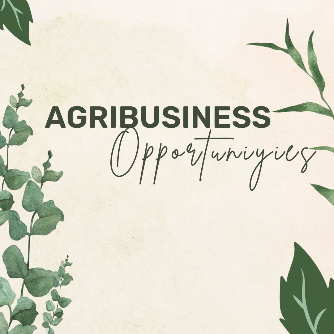 APPLY FOR OPPORTUNITIES IN AGRIBUSINESS 

Are you looking for opportunities in agribusiness check this 🧵