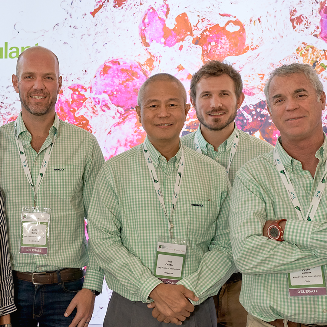 kelpakglobal's tweet photo. 10th International Table Grape Symposium. The second day of the event has been a productive time spent with knowledgeable partners in the table grape industry, connecting with our team from around the globe, and with many of our clients.   #kelpak #tablegrapes #biostimulants https://t.co/GAaS6I6abp