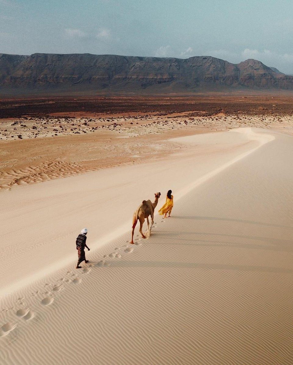 Exploring the natural wonders of Socotra Island on a camel safari.

#socotra #socotraisland 
#socotratours  #socotratrip #socotratravel 
#soqotra 
#сокотрa
#traveltheworld 
#travelnature 
#traveler 
#travellife 
#travelandlife 
#travelaroundtheworld 
#travelmore