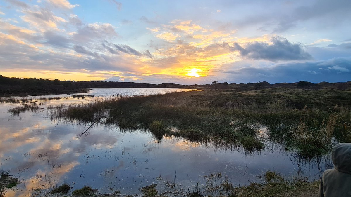 Kleurenfeest Westerduinen #Texel
