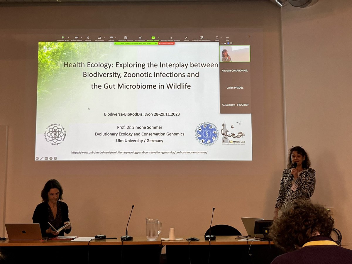 GrzybekMaciej's tweet photo. Great talks and discussions at #BioRodDis project final meeting organised by @nathcharbonnel. Prof. Sommer - loss of homeostasis in rodents microbiomes, Dr Mass - monitoring strategies of rodents in 🇳🇱, @SironenTarja - rodent-borne virus diseases in 🇪🇺 and 🇫🇮 @BiodiversaPlus https://t.co/4WvSAIY1ol