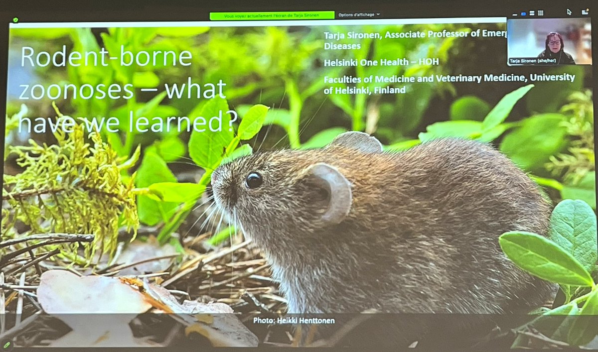 GrzybekMaciej's tweet photo. Great talks and discussions at #BioRodDis project final meeting organised by @nathcharbonnel. Prof. Sommer - loss of homeostasis in rodents microbiomes, Dr Mass - monitoring strategies of rodents in 🇳🇱, @SironenTarja - rodent-borne virus diseases in 🇪🇺 and 🇫🇮 @BiodiversaPlus https://t.co/4WvSAIY1ol
