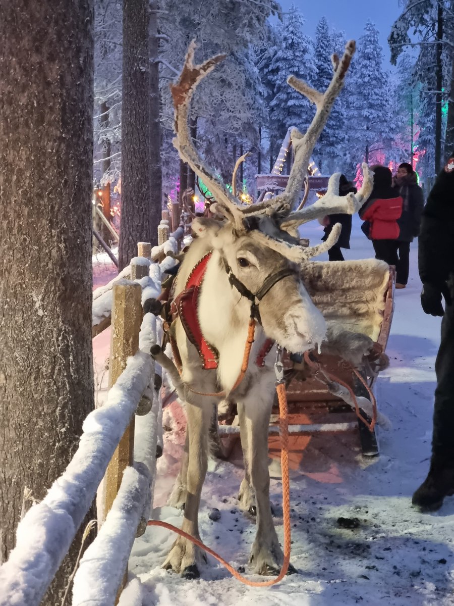 LAPONIA💫
Uno de nuestros seguidores nos envía un poquito de Navidad con estas preciosas imágenes de postal
Son tan bonitas que merecen ser compartidas 
Es Rovaniemi, capital de Laponia, la puerta al Círculo Polar Ártico y el hogar de Papá Noel💫
#navidad #gabonak #bainuevaeuropa