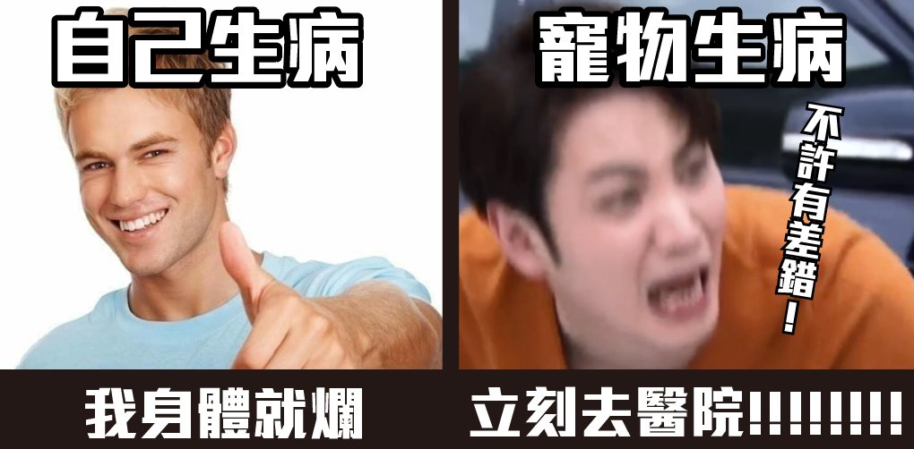 對自己生病已經無所謂xddd
寵物生病完全慌的要死xddd