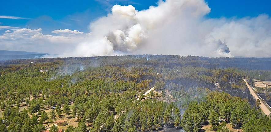 Research by Chris Bousfield and David Edwards in @plantsci, with David Lindenmayer at @ANUFennerSchool, quantifies for the first time the severe destruction that fire causes to timber-producing forests globally.

Read here  👇

plantsci.cam.ac.uk/news/fire-cons…