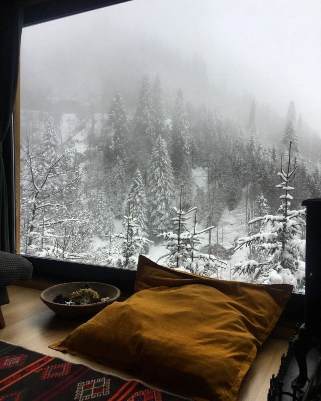 waiting for the first snowfall 🌨️