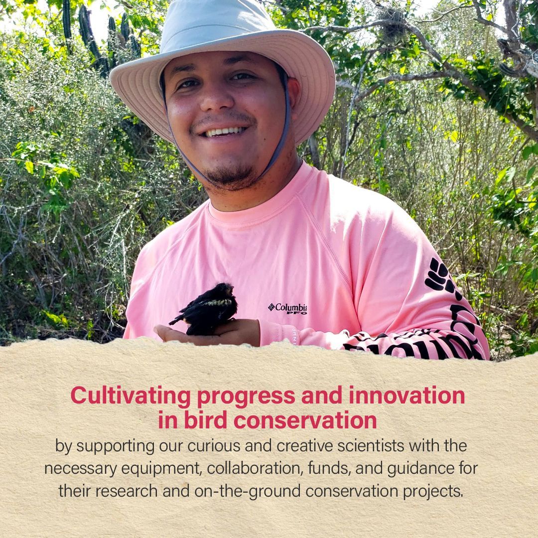 Birds Caribbean tweet media