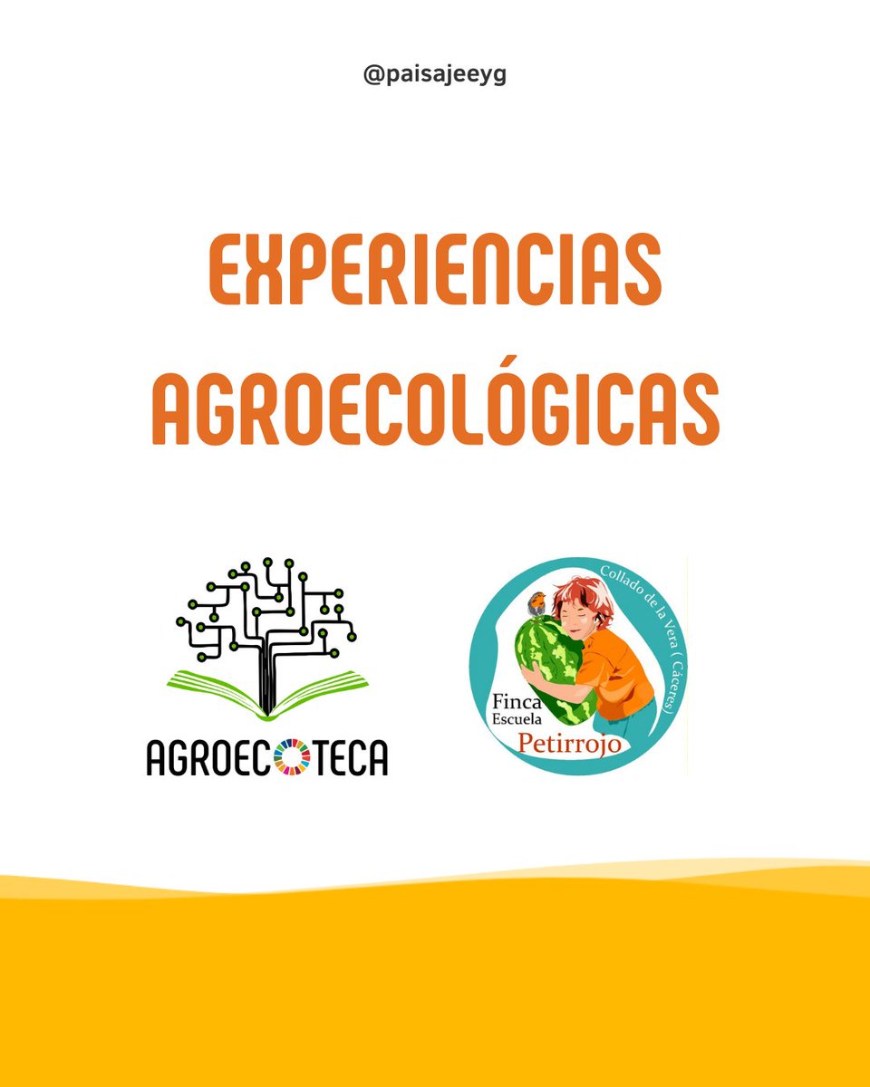 #AGROECOTECA Conoce las buenas prácticas agroecológicas de🐦Finca Petirrojo➡️ acortar.link/9V7qc2 📢¿Eres del #sectoragroecológico y estás en #Extremadura? Súmate al catálogo de experiencias agroecológicas regionales aquí: bit.ly/3oMdsgf #ExtremaduraSostenible