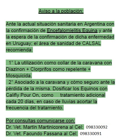 Recomendaciones
#EncefalomielitisEquina