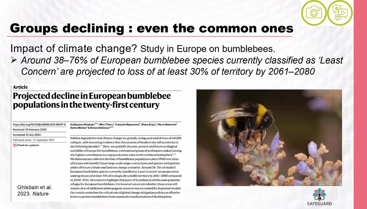 vildebier's tweet photo. #EUPollinatorWeek2023: The FUTURE FOR POLLINATORS conference has started with the session The Nature Restoration Law and pollinators. Program and registration at https://t.co/sZM4cQDNhv 
#EUPollinators #Naturgenopretningslov #pollinators #vildebier https://t.co/9nyb5kR3sM