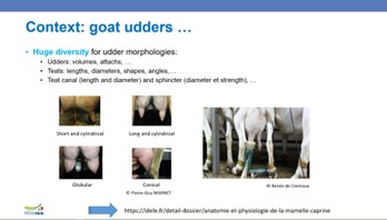 Jean-Louis Poulet #IDFMilkingTechnologies2023
<a href="/FIL_IDF/">International Dairy Federation</a>
«At least for some specific devices, new “anatomical” artificial teats must be used to simulate and characterise milking at laboratory level. 3 shapes have been designed to adapt to goat teat diversity.»