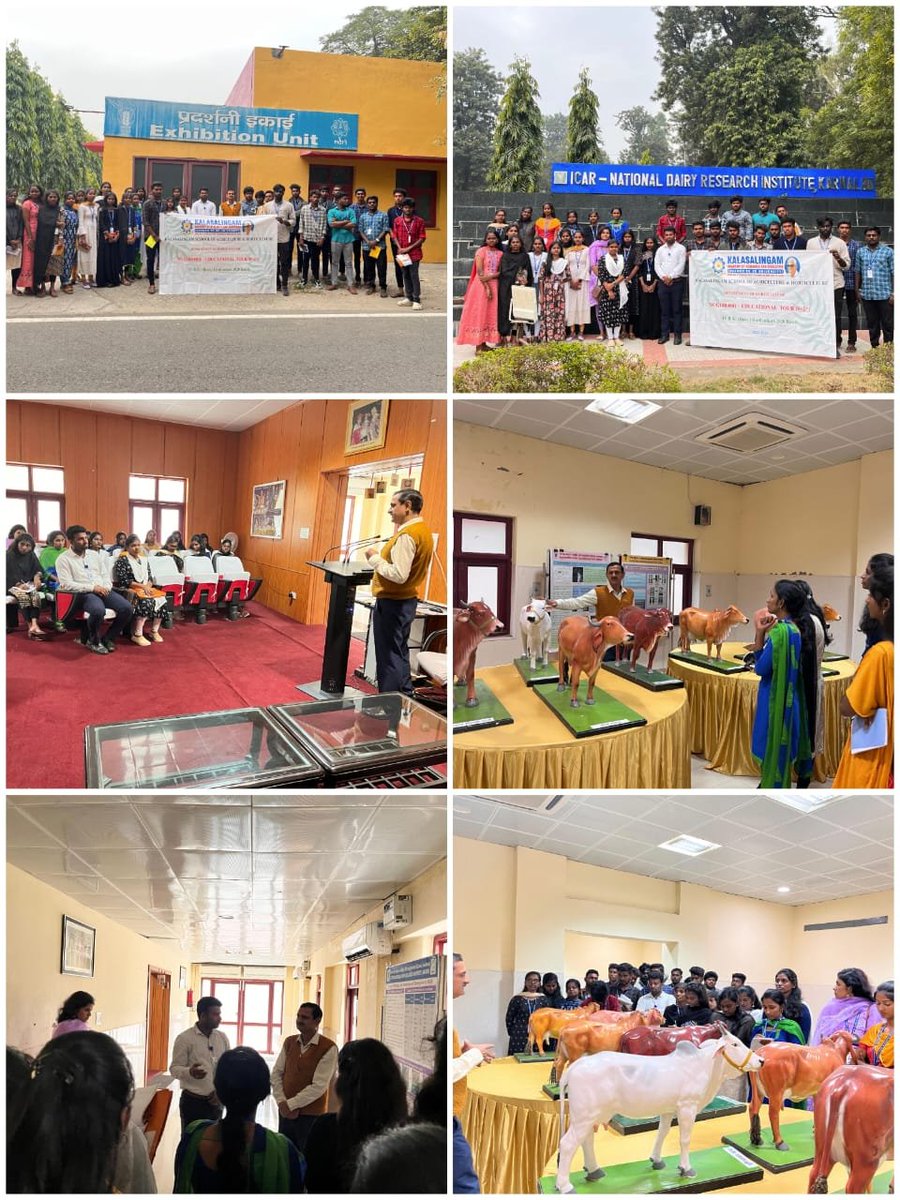HodKlu's tweet photo. #Kalasalingam #Horticulture All #India #Studytour #visit to #ICAR #IIWBR, #NDRI #Karnal, #Haryana #IcarIiwbr #ICAR_NDRI https://t.co/yM0ttDpeIT