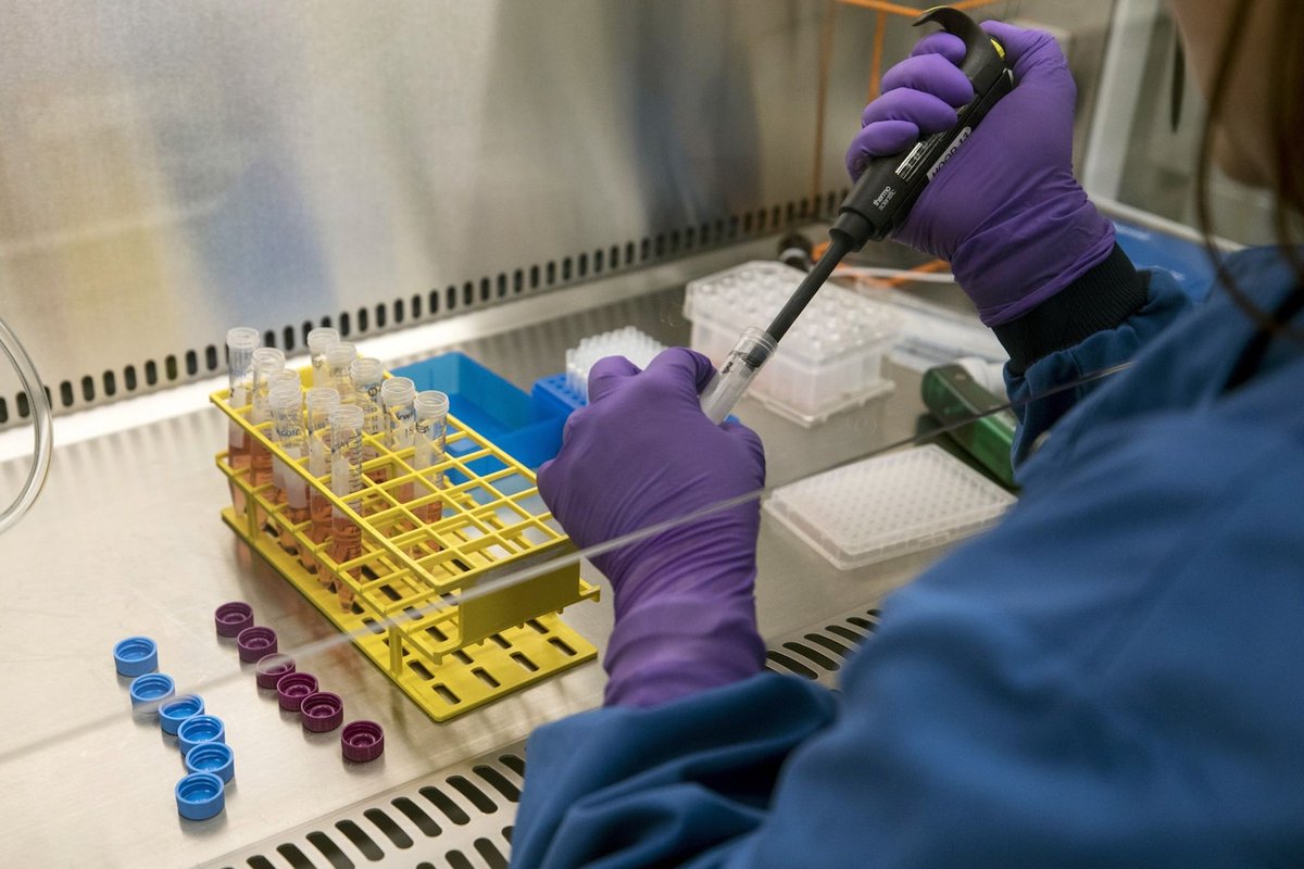 Newly discovered stem cell offers clues to a cancer mystery dlvr.it/SzQ6pp