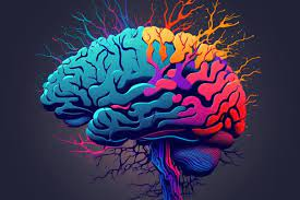 ScienceCQFD's tweet photo. [RDV 16h !] Lancé en 2013, le #HumanBrainProject a pris fin en octobre 2023. Il devait cartographier le #cerveau humain en ligne. Son héritage : la plateforme #EBRAINS. A quoi donne-t-elle accès ? https://t.co/82u4PS1ayZ avec @BertrandThirion, Yves Frégnac et @hugojaliniere https://t.co/NIuGrhp4wF
