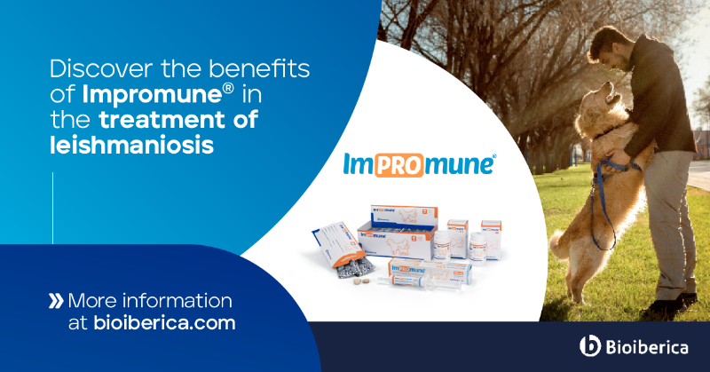 Bioiberica's tweet photo. Adding #IMPROMUNE® to the standard treatment for canine #leishmaniosis leads to further benefits! The #GALILEI trial presented at the #SEVC shows that combining nucleotides and AHCC with allopurinol and N-methylglucamine antimoniate results in reduced parasitemia and proteinuria.
