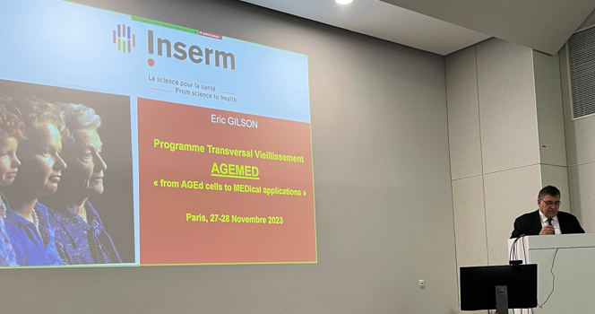 Inserm's tweet photo. Colloque de clôture du Programme d’impulsion #ageMED - De 2017 à 2023, 15 équipes de recherche se sont attelées au décryptage de 2 grands processus biologiques qui conduisent au #vieillissement : la sénescence cellulaire et le neurovieillissement
➕d’infos https://t.co/cQZMcIfAFB https://t.co/1QxBmwskJm